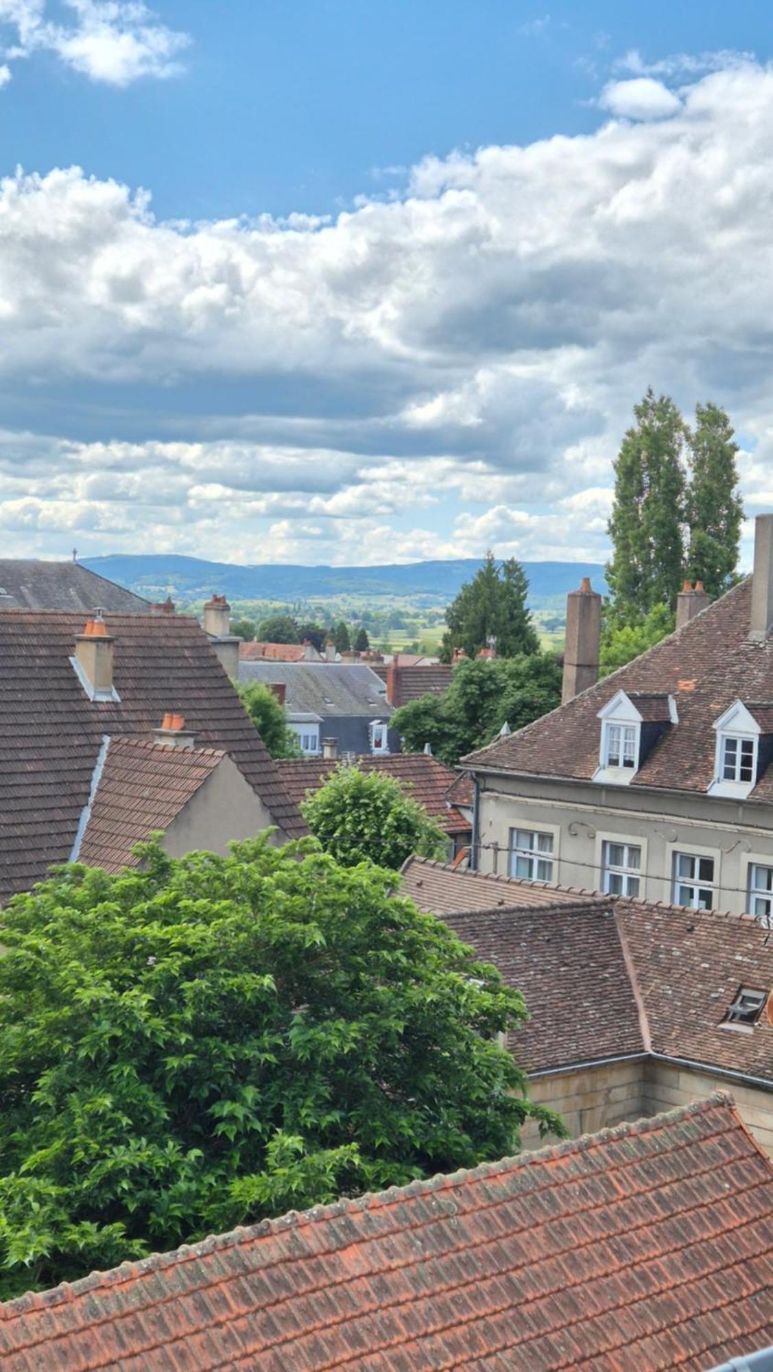 L'Arbre Voyageur Lejlighed Autun Eksteriør billede